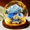 Real Rose Flower Gifts for Women, Birthday Gifts For Women,Womens Gifts for Christmas, Light Up Rose In A Glass Dome,Flower Gifts For Her,Anniversary