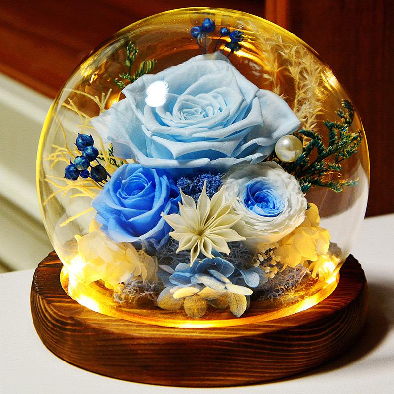Real Rose Flower Gifts for Women, Birthday Gifts For Women,Womens Gifts for Christmas, Light Up Rose In A Glass Dome,Flower Gifts For Her,Anniversary