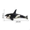 Realistic Whales Figures Model Animal Collection Party Favor Marine Life Kids Play Toy