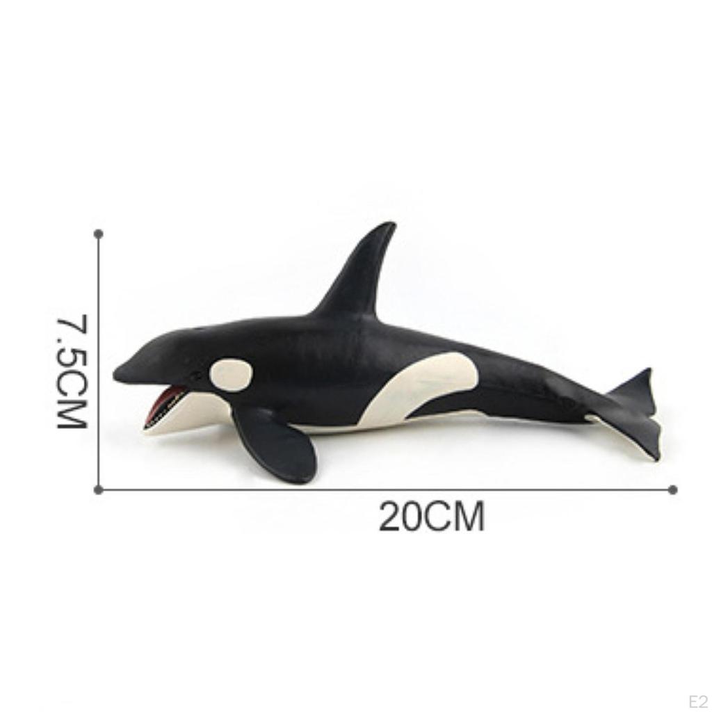 Realistic Whales Figures Model Animal Collection Party Favor Marine Life Kids Play Toy