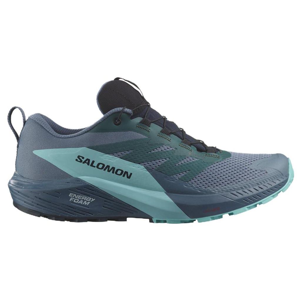Salomon Sense Ride 5 Gtx Outdoor Functional Shoes Men Shoes Green 471474