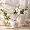 5pcs Artificial Flower 86cm Cream Clematis Branch Home Living Room Decoration Fake Flowers Simulated Creams Clematises Plant