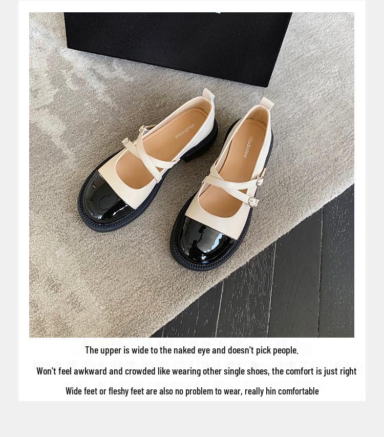 Summer French Retro Platform Chunky Heel Mary Jane Loafers for Women