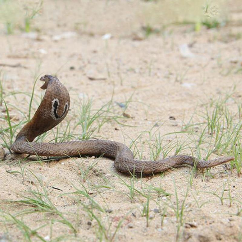 Realistic Simulation Snake Model Toy Garden Joke Prank Gift Halloween Toy