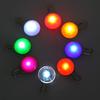 LED Light-Up Pet Pendant Bead Necklace