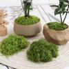 High Simulation Artificial Moss for Green Landscape Arrangement and Bonsai