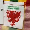 FA Wales Retro Snood