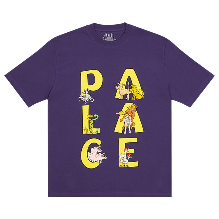 

Футболка Palace Session фиолетовые мужские топы P23TS124 L