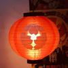 Japanese cloth Lantern Waterproof New Round 30x30CM Hanging Outside Sushi Shop Restaurant Decor flag Ornament Multi Patterns