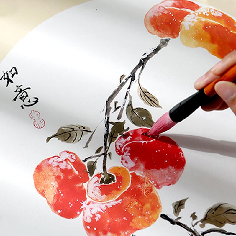 Meilin Solid Pigment Chinese Painting Starter Set