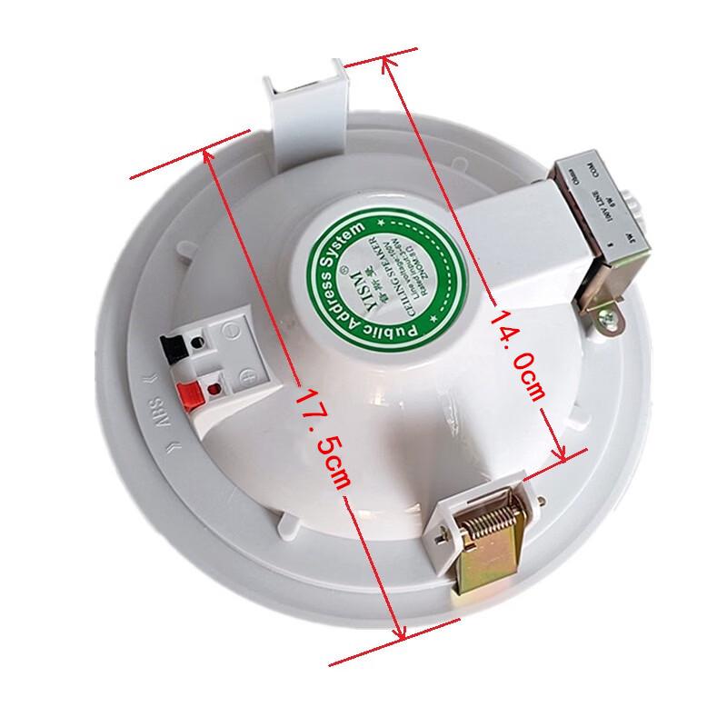 Brangdy Constant Voltage Ceiling/Wall Speaker