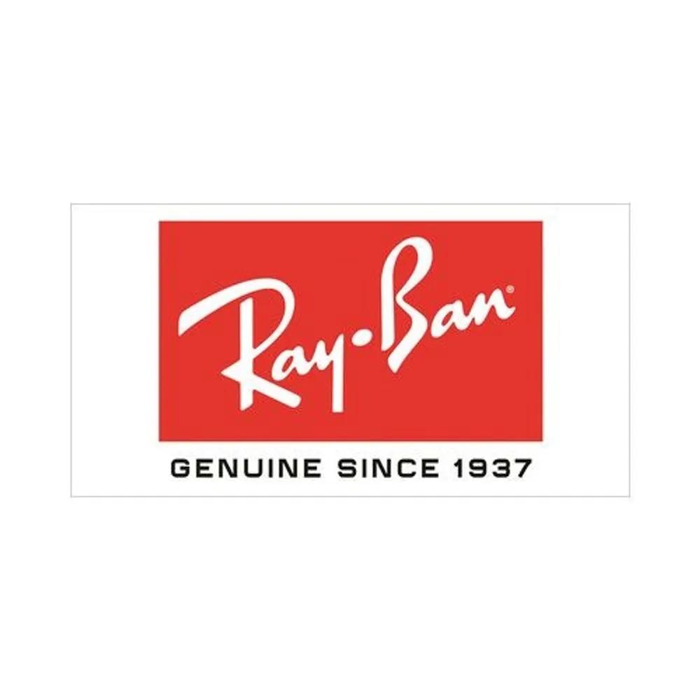 Ray-Ban RB 3777 002B1 59, Ray-Ban oval metal sunglasses, geek chic look