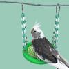 Interaktive Hängematte für Haustierkäfige, geeignet für Vögel, Papageien und kleine Nagetiere – regt zum Spielen an, beschäftigt und unterhält.