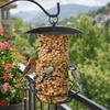 Cylindrical Hanging Bird Feeder Large Capacity Bird Feeding Tray Food Dispenser  Outdoor Use