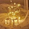 2032 Button Battery Copper Wire Star Lights for Christmas, Holiday, Gift Box, and Bouquet Decoration.