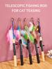 Retractable Cat Toy Fish Type Telescopic Feathers Funny Cat Stick Toys Pet Toy for Kitten Cat Rods Simulation Fishing Rod