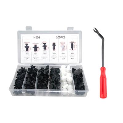 6 Size 100pcs Auto Fastener Clip Mixed Car Body Push Retainer Pin Rivet Bumper Door Trim Panel Retainer Fastener Kit