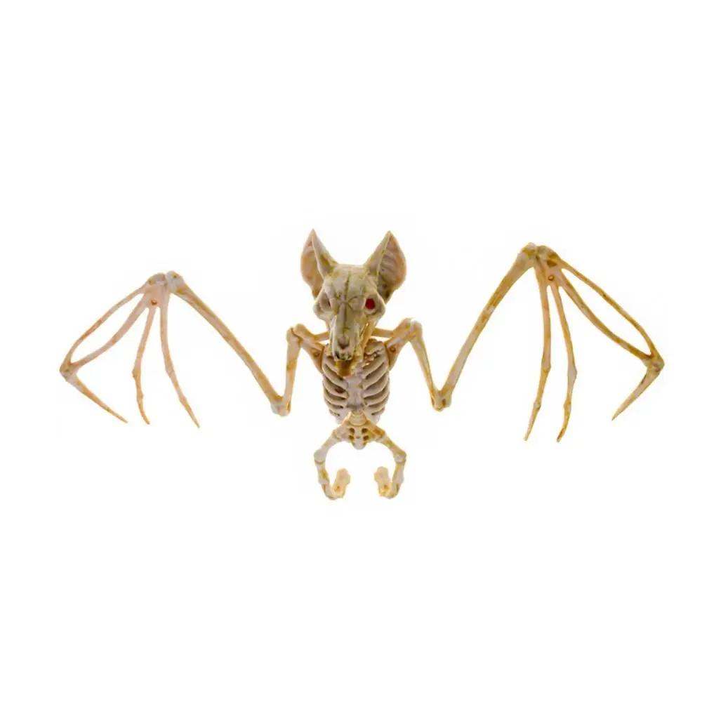 Human Bones Halloween Bats Skeleton Skeleton Model Scary Halloween Animal Skeleton Plastics Bat Mouse Lizard Scorpion Home