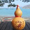 Natural Gourd Crafts Mini Photography Props Arts Collection Dry Gourd Bottle  Xmas Gift