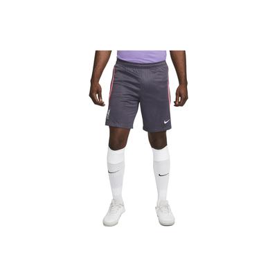 Dri-FIT Liverpool FC Strike Third Logo Embroidered Pattern Color Block Knit Football Shorts Men Shorts Gray FJ8878-015
