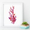 Corals Art Print Wall Pictures Home Decor  , Watercolor Cora Print Wall Art Hanging Bathroom Canvas Painting Nautical Decoration