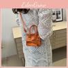Chic Street Style Pu Shoulder Bag Trendy Small Square Bag For Women 2024 New