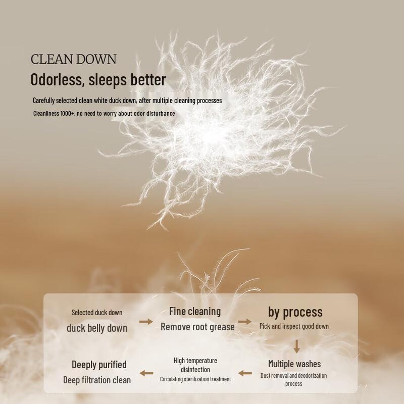 Mercury Home French White Duck Down Winter Quilt