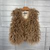 Autumn Winter Eco-Friendly Fur Women's Vest Artificial Fur Lamb Wool Warm Sleeveless Coat Clothing