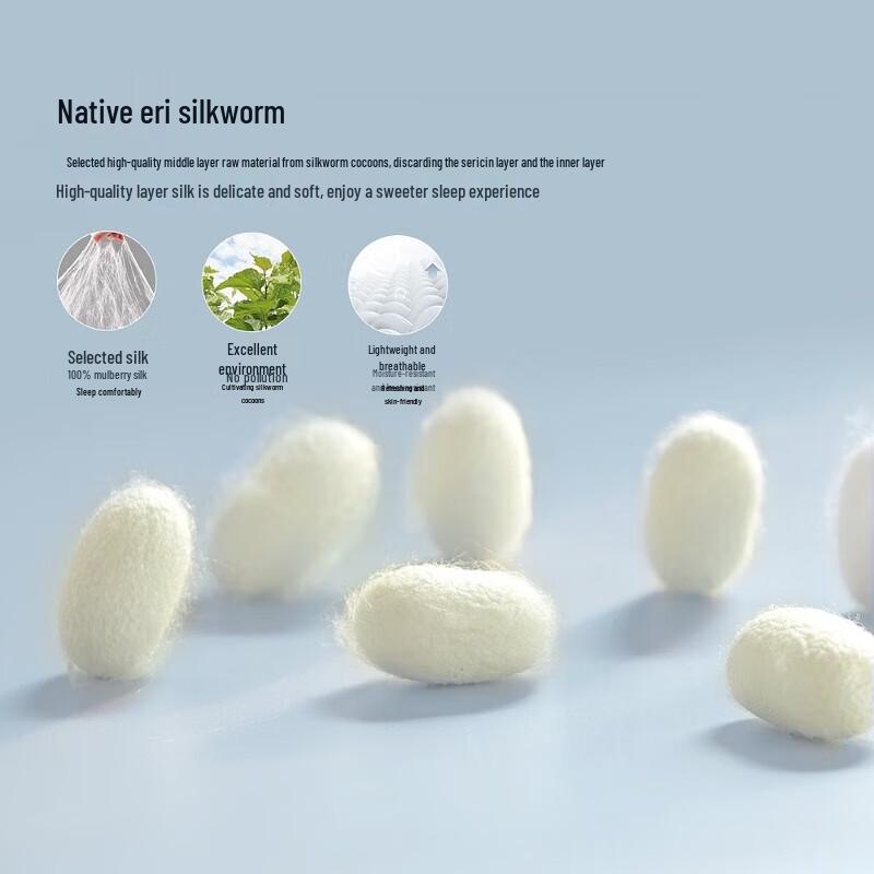 Mercury Home Tussah Silk Antibacterial All-Season Quilt