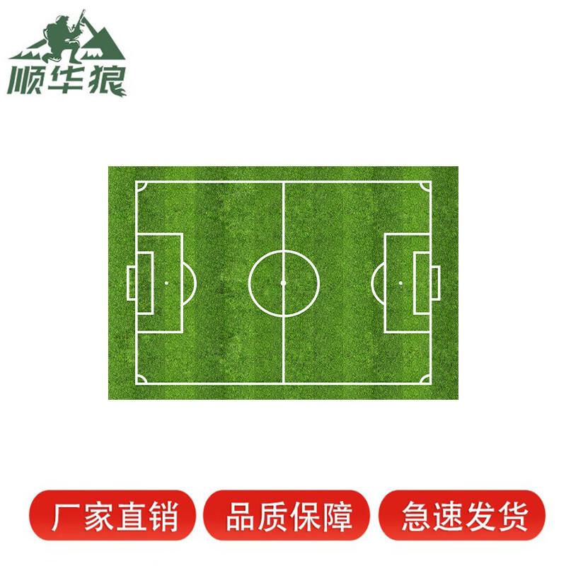 

Shunhualang Soccer Field Area Rug