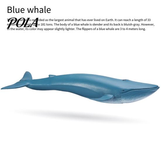 Sea Animal Educational Toy Simulated Marine Life Model, Realistic Whale Shark Dolphin Figurine, PVC Model for Toddlers Boys Girls