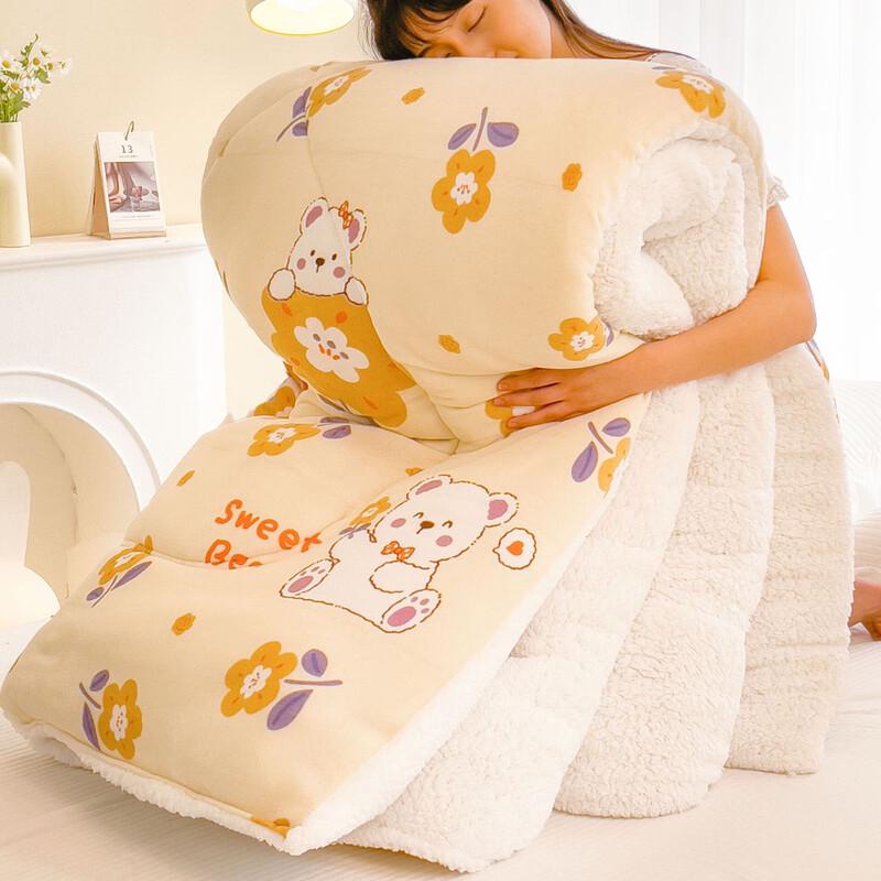 TianHengYuCheng Lamb & Milk Velvet Quilt