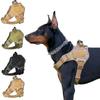 Perros – Manuales de entrenamiento y conducta