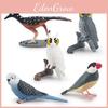Pvc Bird Animal Models Collection Withmagpie Parrots And Owl For Garden Landscaping And Home Decor