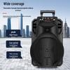 Newmine N509 Portable Karaoke Bluetooth Speaker (CN version)
