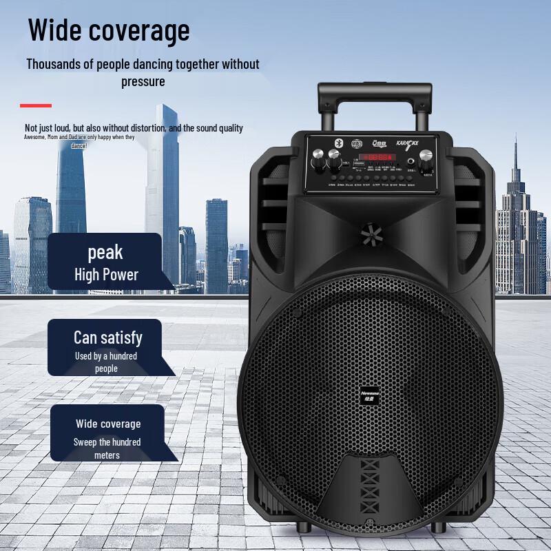 Newmine N509 Portable Karaoke Bluetooth Speaker (CN version)