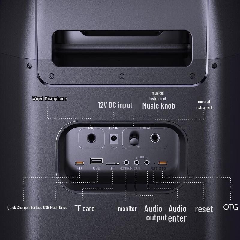 W-King T12 Portable Party Speaker with Karaoke & RGB Lights CN Plug (adapter Included)