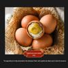 Longfeng Fünf-Gewürze befruchtete Hühnerembryo-Eier