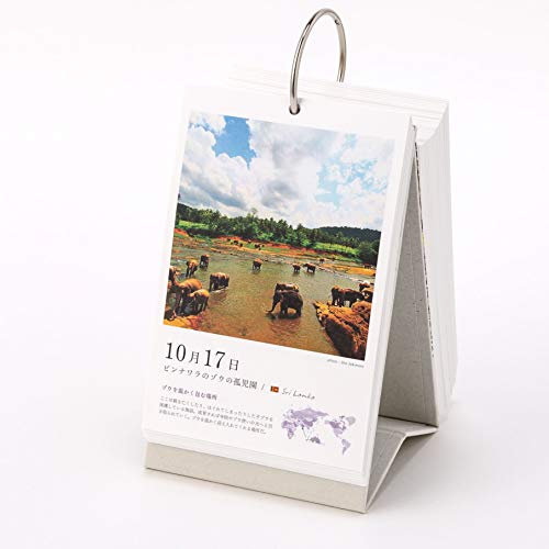 Iroha Publishing 365-Day World Tour Scenic View Daily Calendar PAS-POL TH-01 Desktop Type