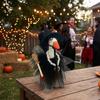 Dark Style Goose Witch Dress Up Costume Porch Goose Witch Scene Prop  Halloween Party