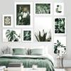 Tulip Aloe Monstera Green Leaves Plants Minimalist Wall Art Print Canvas Painting Posters for Living Room Modern Home Decor
