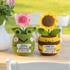 Funny Positive Crochet Frog Bee Plant Pot Doll Desktop Ornament Handmade Emotional Support Positive Frog Pot Home Decoration