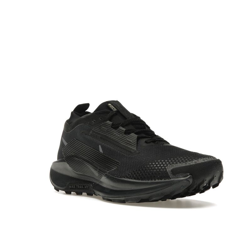 Nike Pegasus Trail 5 GORE-TEX Pánské Černá Antracitová Nepromokavé ReactX Trailové Běžecké Tenisky FQ0908-002