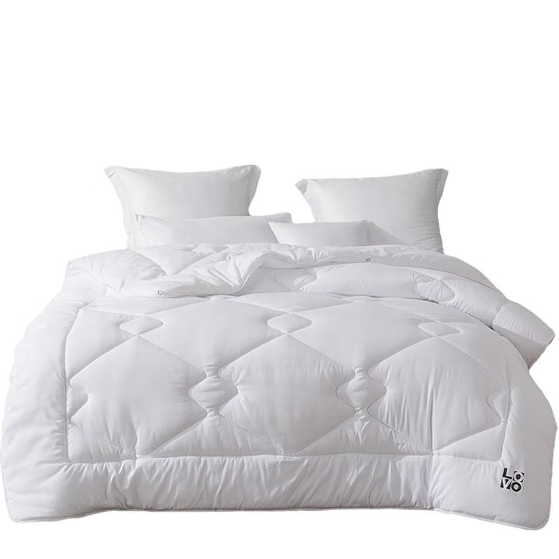 LOVO Silky Soft Spring Autumn Quilt