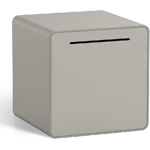 6" Piggy Bank for Adults for 2025 Savings, Must Break to Open Adult Piggy Bank for Cash, Interactive DIY Assembled Unopenable Money Savings Box