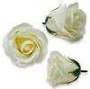 Soap Rose In Cream Color