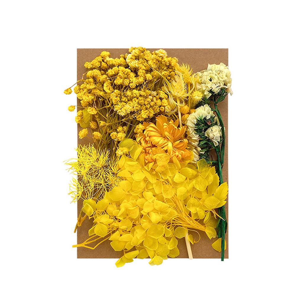 1 Bag Dried Flowers Pressed Dry Flower For DIY Phone Case Epoxy Resin Filling Pendant Jewelry Making Crafts Nail Art Decor