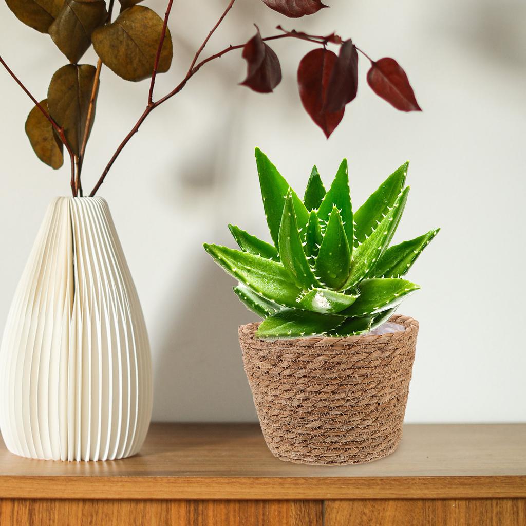 2pcs Rattan Flower Woven Handmade Straw Indoor Plant Storage Basket Home Decor Lightweight Compact Size Seagrass Planter