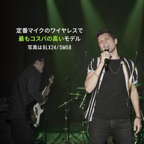 Shure BLX288/B58 Wireless Microphone System: Dual-Channel, Professional-Grade, with Two BLX2/BETA58A Handheld Dynamic Microphones and a BLX88 Receiver