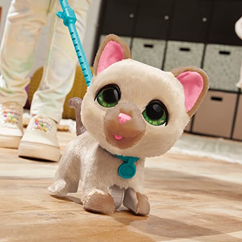 Hasbro FurReal Walking Kitten (Light Brown), an interactive pet that responds to voice and sound, for ages 4 and up, F8132, Authentic